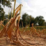 us-drought_2290511b