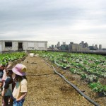 farming